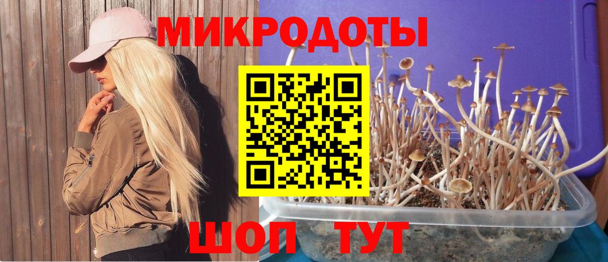 Кубинка  Псилоцибиновые грибы мицелий  цена наркотик  Вход с VPN  Псилоцибиновые грибы ЛСД 