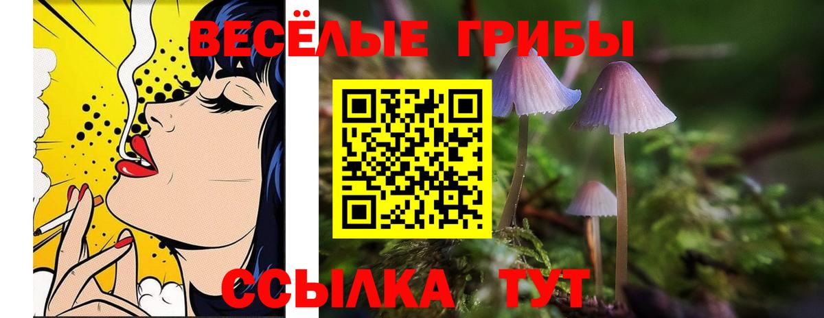 Галлюциногенные грибы прущие грибы Кубинка